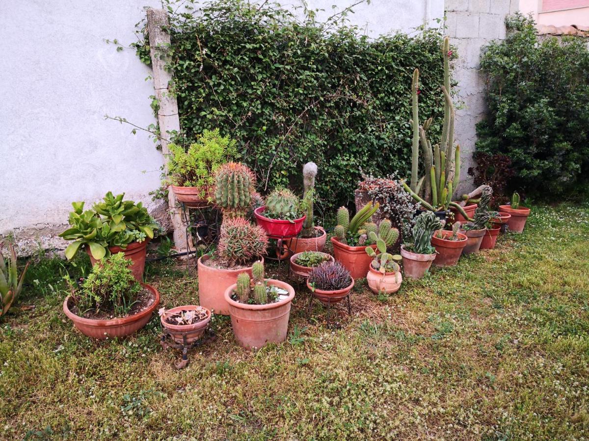 San Nicolo GerreiZia Chiarina住宿加早餐旅馆 外观 照片