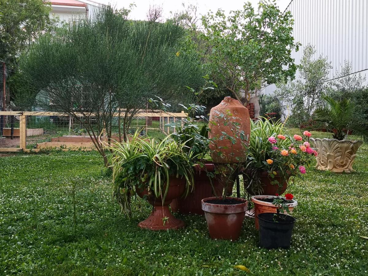 San Nicolo GerreiZia Chiarina住宿加早餐旅馆 外观 照片