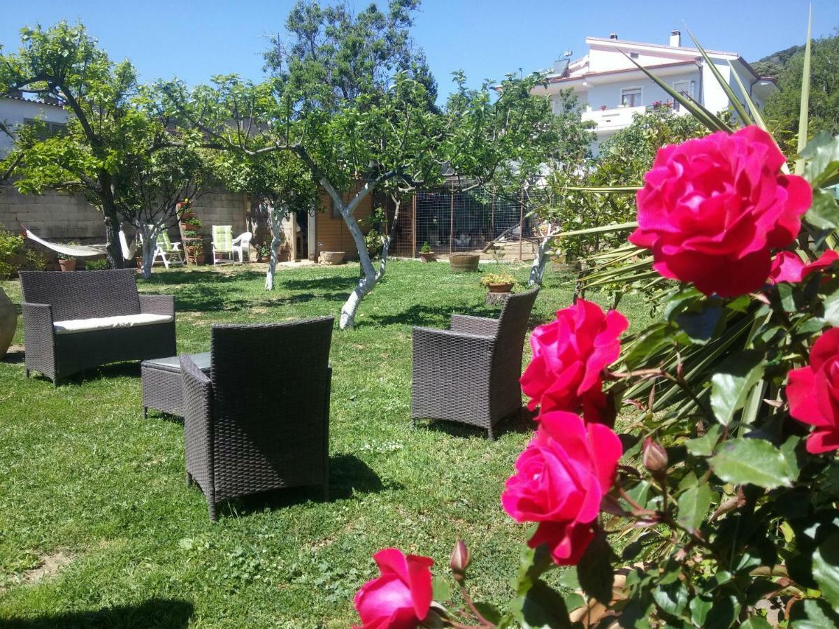 San Nicolo GerreiZia Chiarina住宿加早餐旅馆 外观 照片
