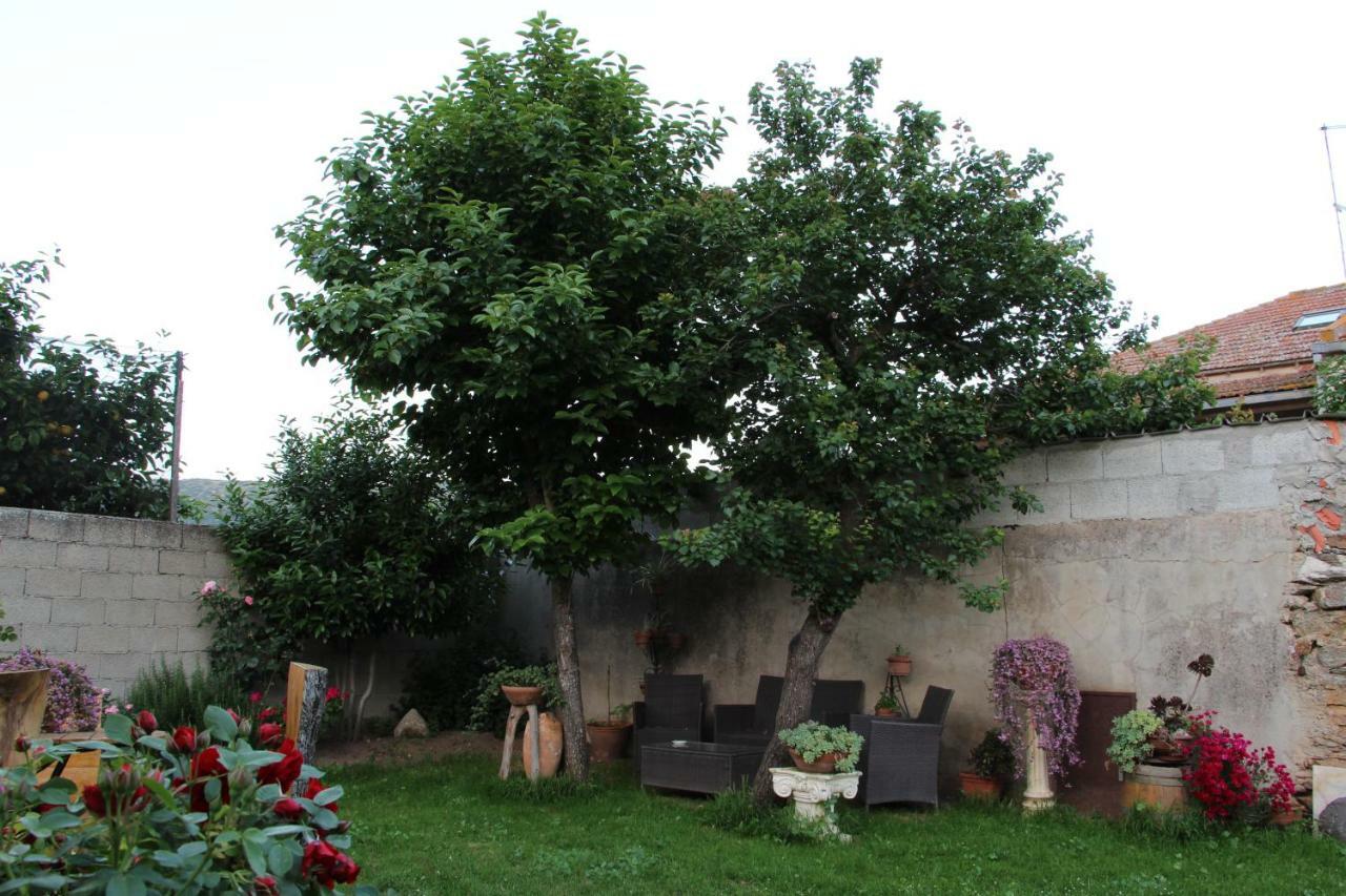 San Nicolo GerreiZia Chiarina住宿加早餐旅馆 外观 照片